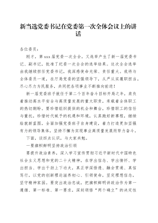 新当选党委书记在党委第一次全体会议上的讲话