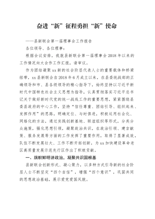 新联会理事会工作报告