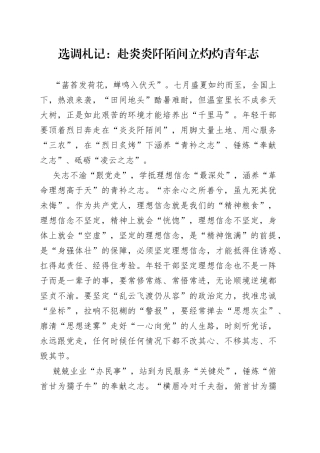 选调札记：赴炎炎阡陌间 立灼灼青年志
