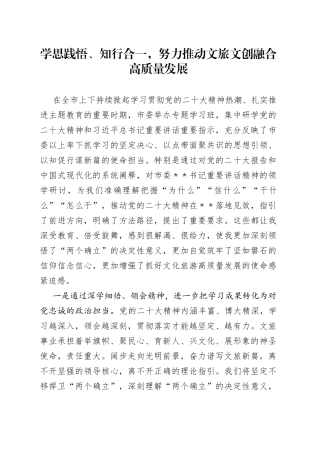 学思践悟、知行合一，努力推动文旅文创融合高质量发展