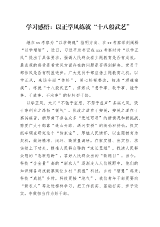 学习感悟：以正学风 练就“十八般武艺”