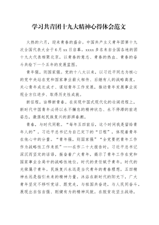 学习共青团十九大精神心得体会研讨发言材料230725