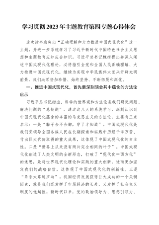 学习贯彻2023年主题教育第四专题心得体会