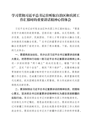 学习贯彻习近平总书记在听取自治区和兵团工作汇报时的重要讲话精神心得体会