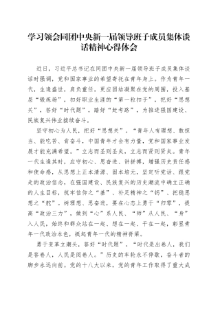 学习领会同团中央新一届领导班子成员集体谈话精神心得体会
