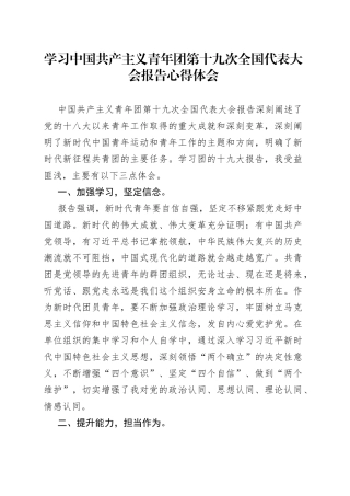 学习中国共产主义青年团第十九次全国代表大会报告心得体会
