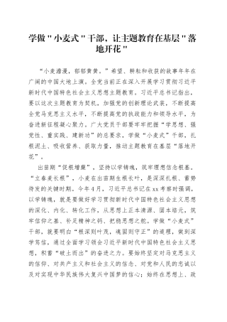 学做＂小麦式＂干部，让主题教育在基层＂落地开花＂