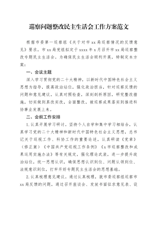 巡查问题整改民主生活会工作方案
