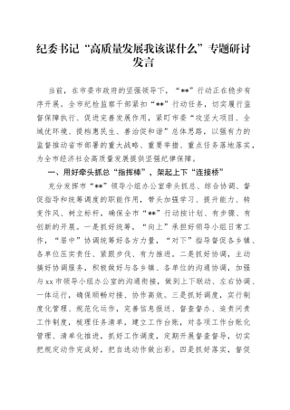 研讨发言：“高质量发展  我该谋什么”专题（纪委书记）