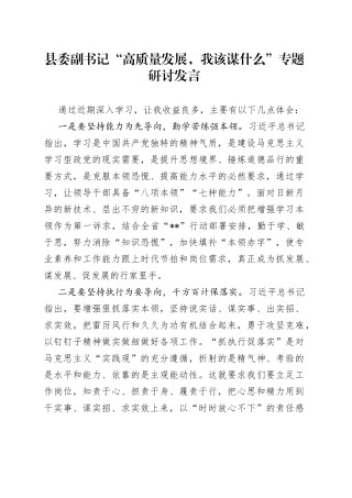 研讨发言：“高质量发展，我该谋什么”专题（县委副书记）