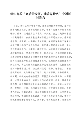 研讨发言：“高质量发展，我该谋什么”专题（组织部长）