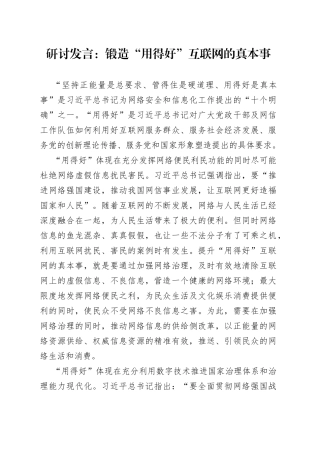 研讨发言：锻造“用得好”互联网的真本事