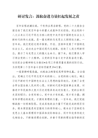 研讨发言：汲取奋进力量扛起发展之责