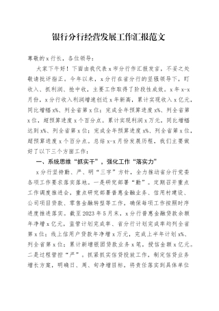 银行分行经营发展工作汇报总结报告