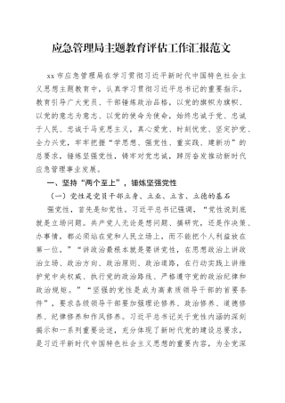 应急管理单位主题教育评估工作汇报总结报告局