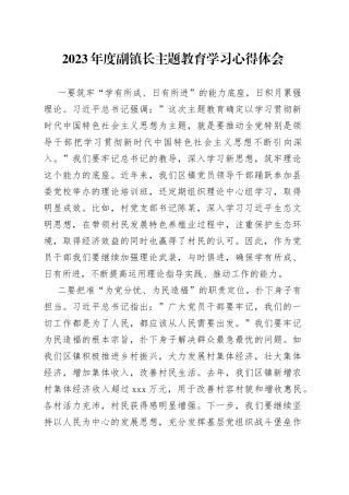 有关2023年度副镇长主题教育学习心得体会