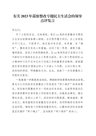 有关2023年巡察整改专题民主生活会的领导点评发言