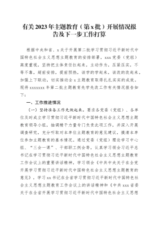 有关2023年主题教育（第x批）开展情况报告及下一步工作打算