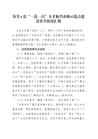 有关X县“一县一点”人才振兴市级示范点建设有关情况汇报