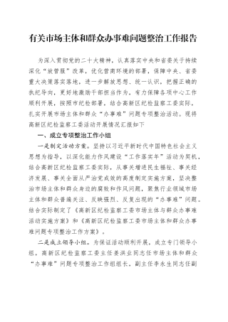 有关市场主体和群众办事难问题整治工作报告