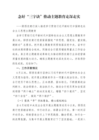 郧西农商行主题教育工作报告（半年）