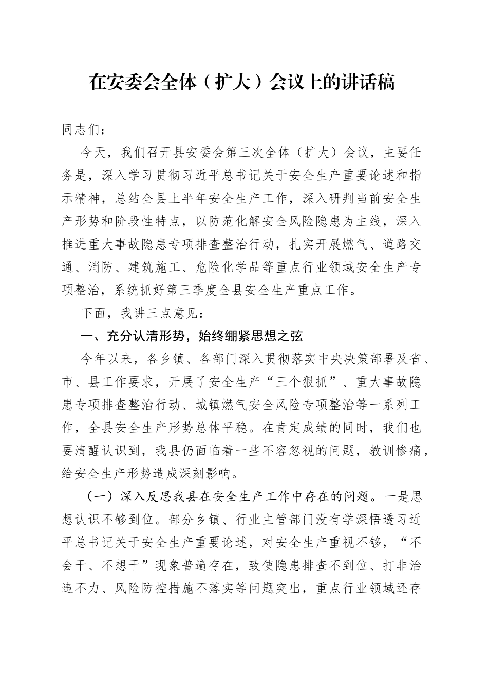 在安委会全体（扩大）会议上的讲话稿_第1页