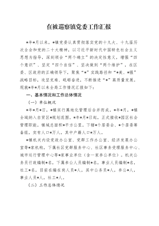 在被巡察镇党委工作汇报