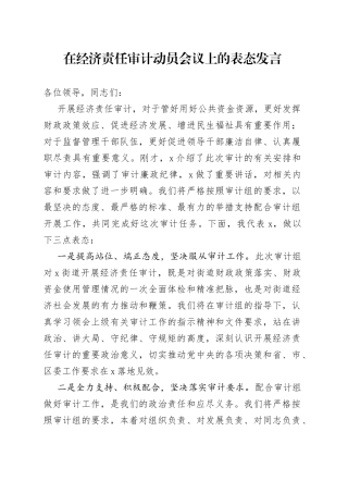 在经济责任审计动员会议上的表态发言