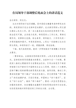 在局领导干部调整后见面会上的讲话全体干部大会欢迎新领导