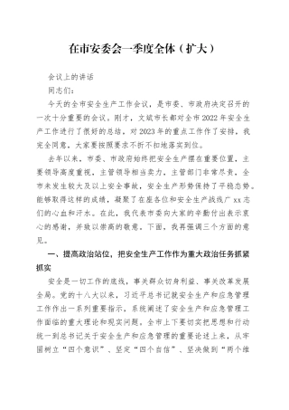 在市安委会一季度全体（扩大）会议上的讲话