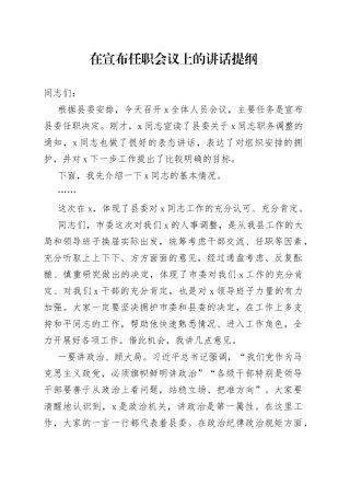 在宣布任职会议上的讲话提纲