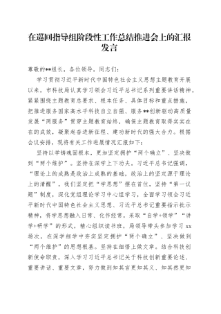 在巡回指导组阶段性工作总结推进会上的汇报发言