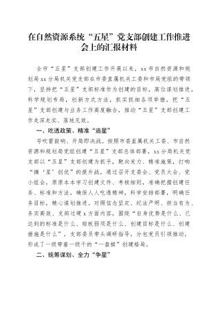 在自然资源系统“五星”党支部创建工作推进会上的汇报材料