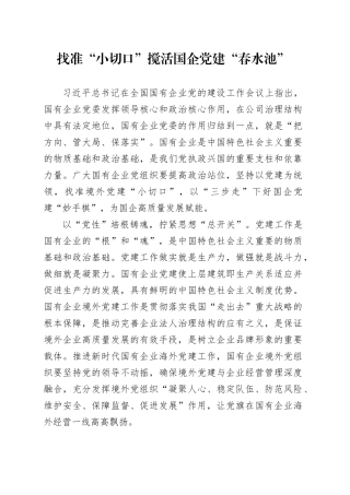 找准“小切口”搅活国企党建“春水池”