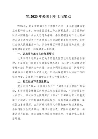 镇2023年爱国卫生工作要点（20230602）