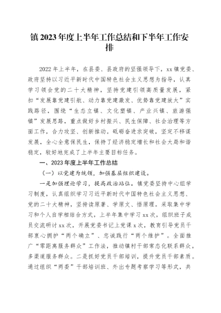 镇2023年度上半年工作总结和下半年工作安排（20230703）