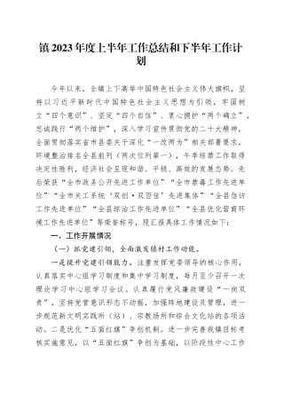 镇2023年度上半年工作总结和下半年工作计划（20230703）