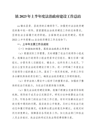 镇2023年上半年度法治政府建设工作总结（20230709）