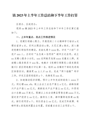 镇2023年上半年工作总结和下半年工作打算（20230627）