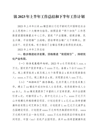 镇2023年上半年工作总结和下半年工作计划（20230629）