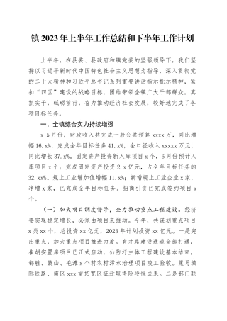 镇2023年上半年工作总结和下半年工作计划（20230704）