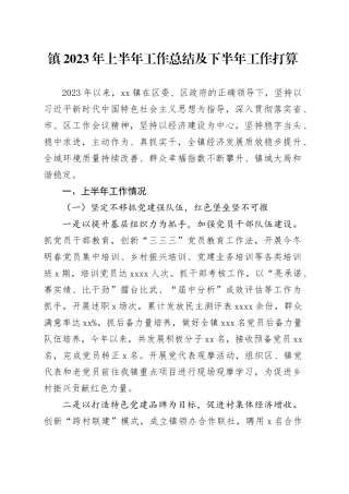 镇2023年上半年工作总结及下半年工作打算（20230703）