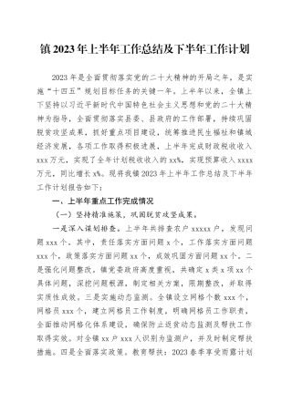 镇2023年上半年工作总结及下半年工作计划（20230625）