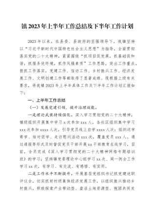 镇2023年上半年工作总结及下半年工作计划（20230702）