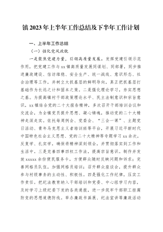 镇2023年上半年工作总结及下半年工作计划（20230703）