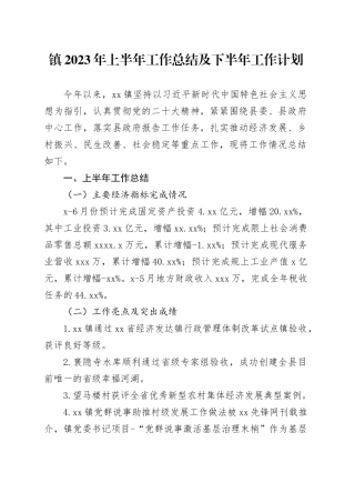 镇2023年上半年工作总结及下半年工作计划（20230705）