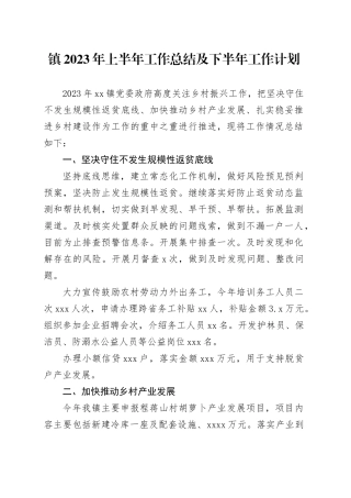 镇2023年上半年工作总结及下半年工作计划（20230803）