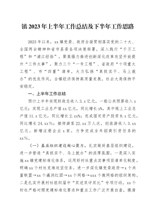 镇2023年上半年工作总结及下半年工作思路（20230620）