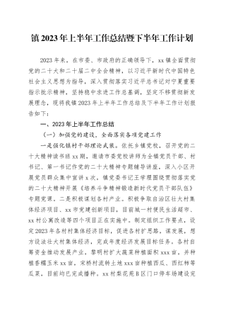 镇2023年上半年工作总结暨下半年工作计划（20230609）