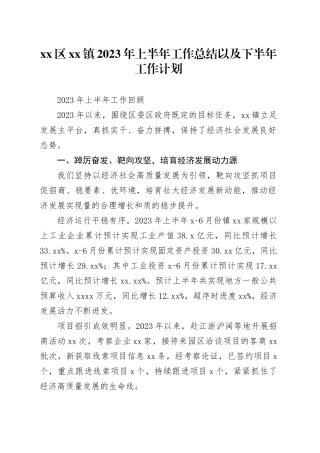 镇2023年上半年工作总结以及下半年工作计划